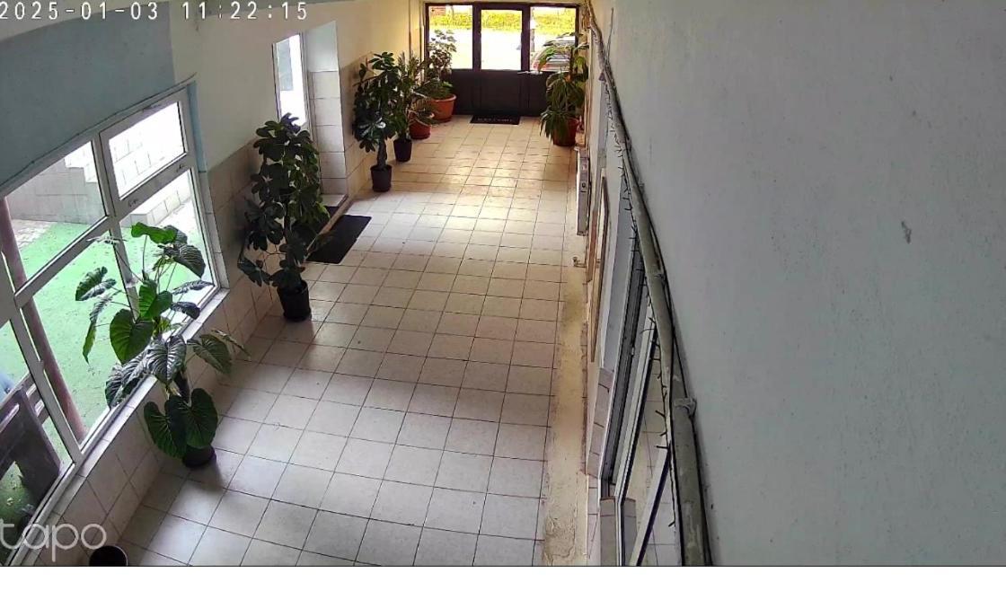Vila Matei Schitu エクステリア 写真